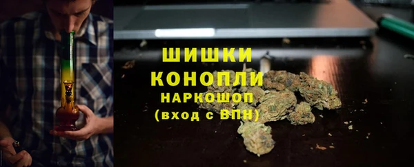 прущие грибы Сатка